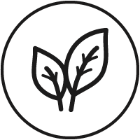 smartsleep Produkteigenschaft für Nahrungsergänzungsmittel, Kissen, Vegan